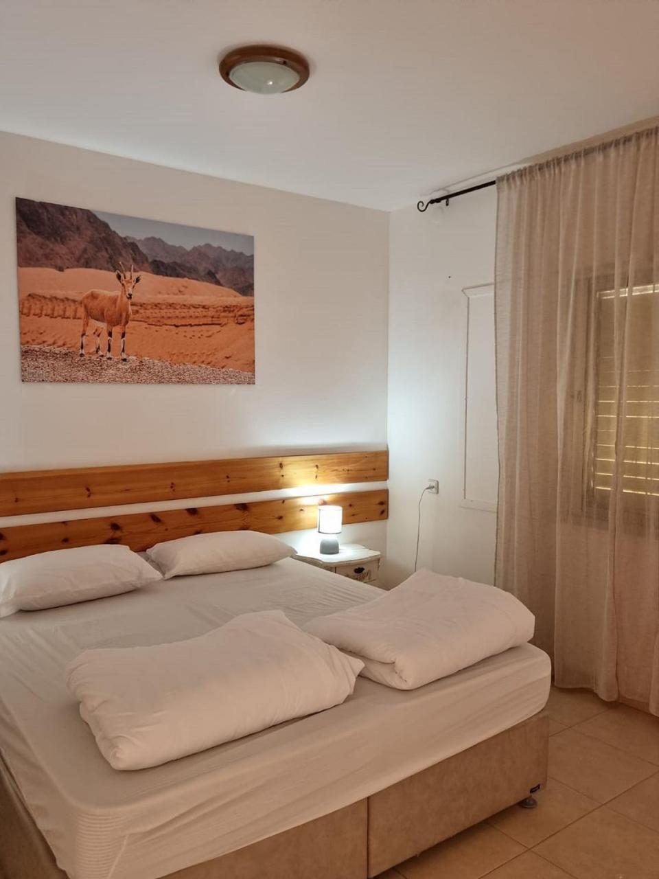 Elifaz Desert Experience Holiday Eksteriør bilde