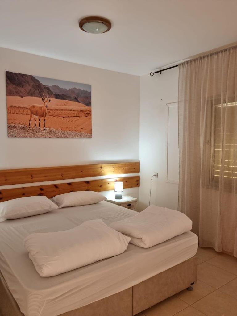 Elifaz Desert Experience Holiday Eksteriør bilde