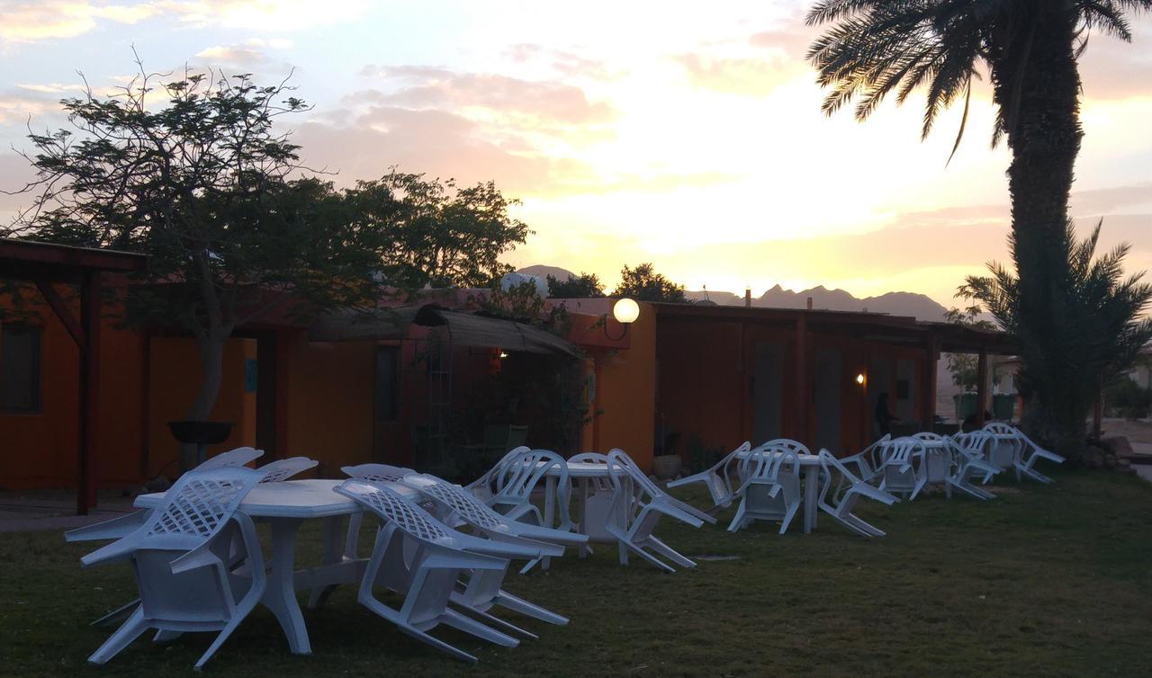Elifaz Desert Experience Holiday Eksteriør bilde